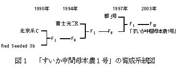 図1 「すいか中間母本農1号」の育成系統図