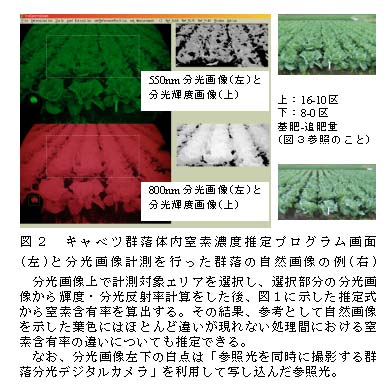 図2 キャベツ群落体内窒素濃度推定プログラム画面(左)と分光画像計測を行った群落の自然画像の例(右)