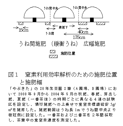 図1 窒素利用効率解析のための施肥位置と施肥幅