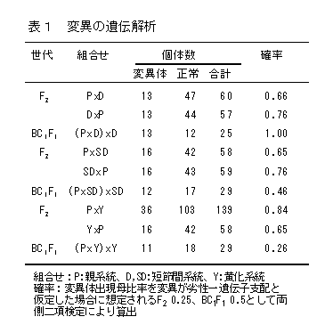 表1 変異の遺伝解析