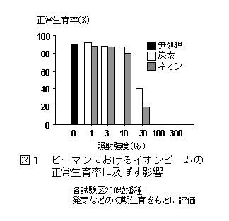 図1 ピーマンにおけるイオンビームの正常生育率に及ぼす影響