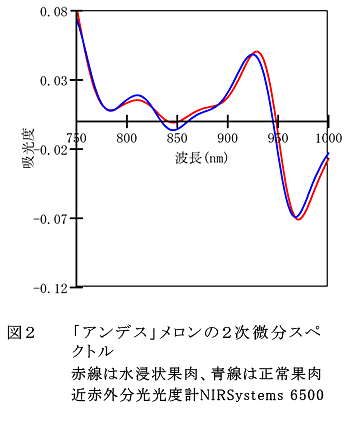 図2 「アンデス」メロンの2次微分スペクトル