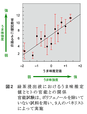 図2 緑茶浸出液におけるうま味推定値とヒトの官能との関係 官能試験は、ポリフェノールを除いていない試料を用い、9人のパネリストによって実施