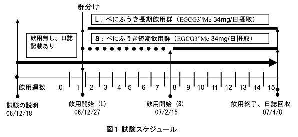 図1 試験スケジュール