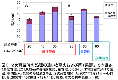 図3 2次育苗時の処理の違いと草丈および第1果房までの長さ(濃度管理:EC1.8dS/mの養液を施肥、量管理:0.08N g/株を2回に分けて施肥、夜間断水:夜間のみ給液を中止、2次育苗期間A:2007年3月21日～4月3日、B:2007年11月30日～12月14日、縦棒:草丈の標準誤差、n=10)