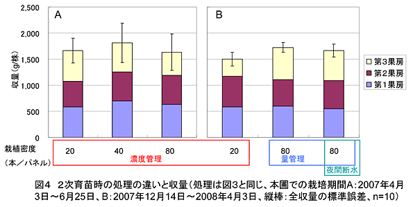 図4 2次育苗時の処理の違いと収量(処理は図3と同じ、本圃での栽培期間A:2007年4月3日～6月25日、B:2007年12月14日～2008年4月3日、縦棒:全収量の標準誤差、n=10)