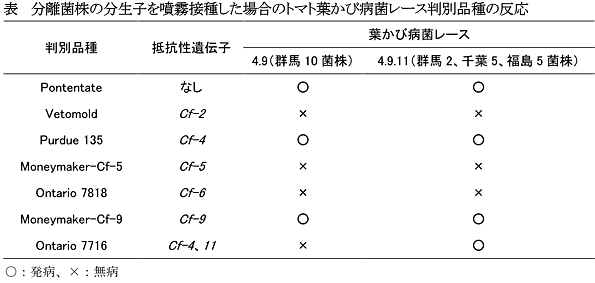 表 分離菌株の分生子を噴霧接種した場合のトマト葉かび病菌レース判別品種の反応