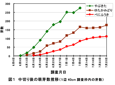 図1 中切り後の萌芽数推移(1辺40cm調査枠内の芽数)