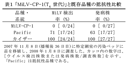 表1 「MiLV-CP-1(T4世代)」と既存品種の抵抗性比較