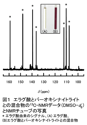 図1 エラグ酸とパーオキシナイトライトとの混合物の13C-NMRデータ(DMSO-d6)とNMRチューブの写真 * エラグ酸由来のシグナル、(A) エラグ酸、(B)エラグ酸とパーオキシナイトライトとの混合物