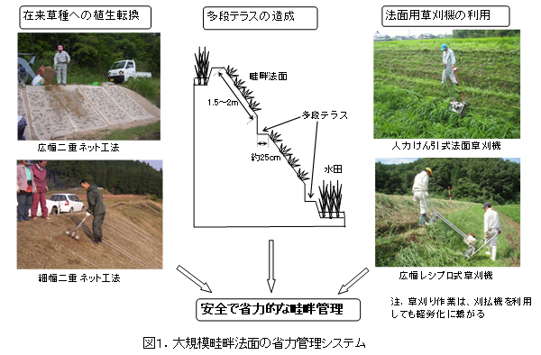 図1.大規模畦畔法面の省力管理システム