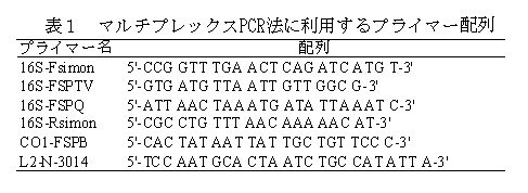 表1 マルチプレックスPCR法に利用するプライマー配列