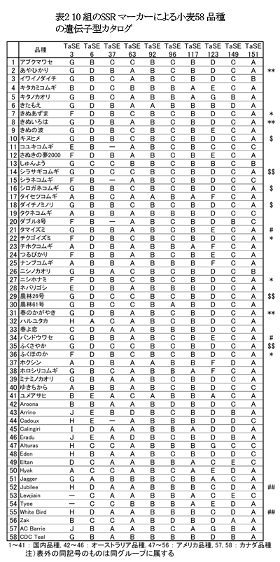 表2  10組のSSRマーカーによる小麦58品種の遺伝子型カタログ