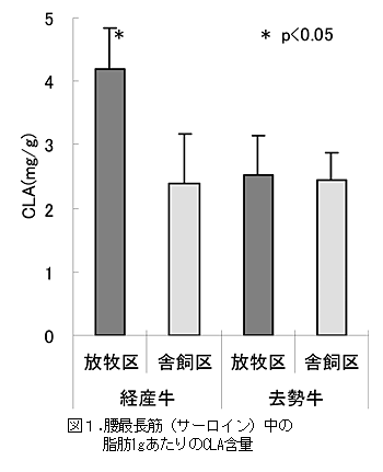 図1.腰最長筋(サーロイン)中の脂肪1g