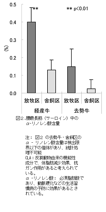 図2.腰最長筋(サーロイン)中のα-リノレン酸含量