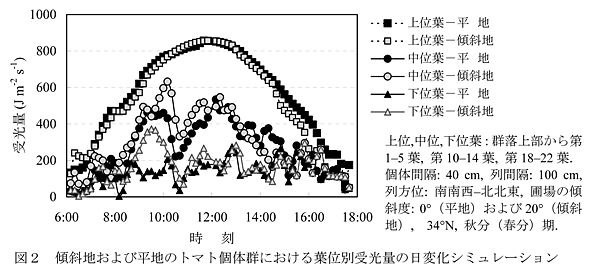 図2 傾斜地および平地のトマト個体群における葉位別受光量の日変化シミュレーション