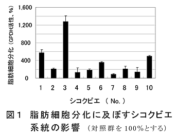 図1 脂肪細胞分化に及ぼすシコクビエ系統の影響 (対照群を100%とする)