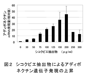 図2 シコクビエ抽出物によるアディポネクチン遺伝子発現の上昇