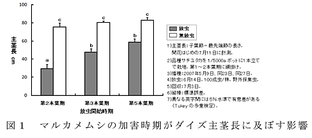 図1 マルカメムシの加害時期がダイズ主茎長に及ぼす影響