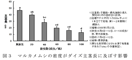 図3 マルカメムシの密度がダイズ主茎長に及ぼす影響