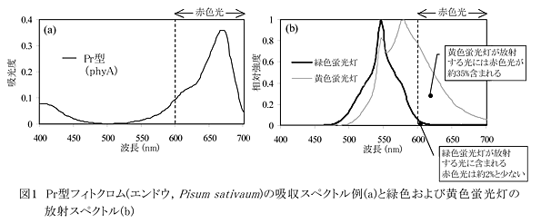 図1 Pr型フィトクロム(エンドウ,Pisum sativaum )の吸収スペクトル例(a)と緑色および黄色蛍光灯の放射スペクトル(b)