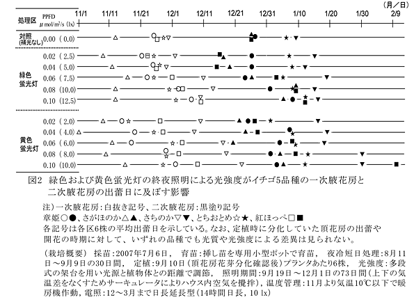 図2 緑色および黄色蛍光灯の終夜照明による光強度がイチゴ5品種の一次腋花房と二次腋花房の出蕾日に及ぼす影響