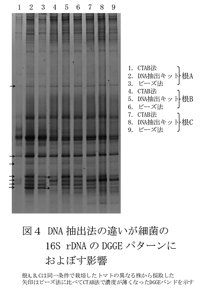 図4 DNA 抽出法の違いが細菌の16S rDNA のDGGE パターンにおよぼす影響