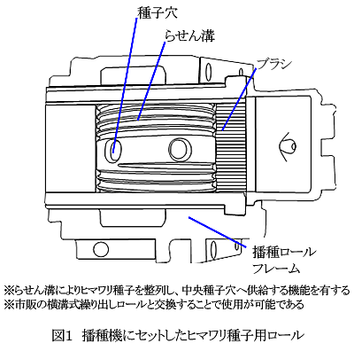 図1 播種機にセットしたヒマワリ種子用ロール