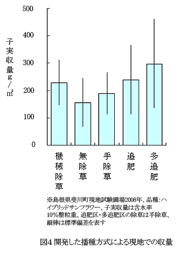 図4 開発した播種方式による現地での収量