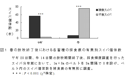図1 春の放牧終了後における各畜種の採食痕の有無別スイバ個体数