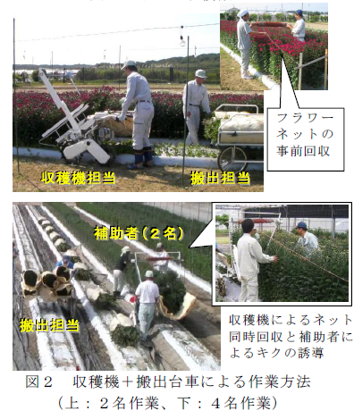 図2 収穫機+搬出台車による作業方法 (上:2名作業、下:4名作業)