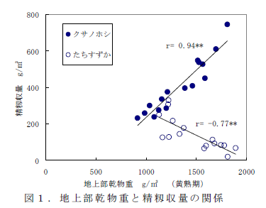 図1 . 地上部乾物重と精籾収量の関係