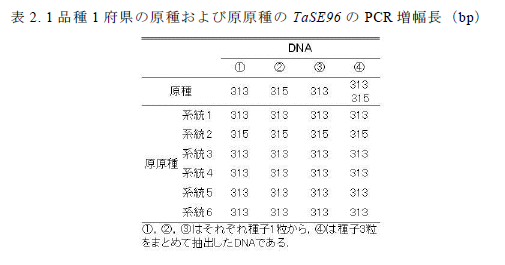 表2. 1 品種1 府県の原種および原原種のTaSE96 のPCR 増幅長(bp)