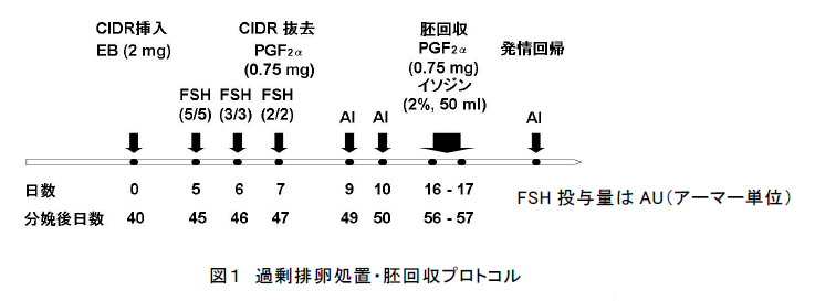 図1 過剰排卵処置・胚回収プロトコル