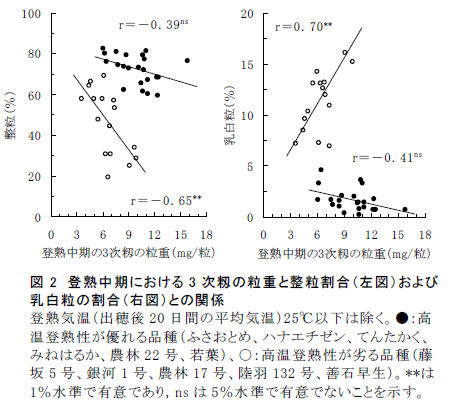 図2 登熟中期における3 次籾の粒重と整粒割合(左図)および 乳白粒の割合(右図)との関係