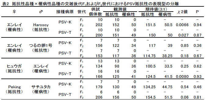 表2 抵抗性品種×罹病性品種の交雑後代F1およびF2世代におけるPSV抵抗性の表現型の分離