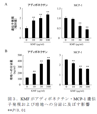 図3.KMF がアディポネクチン・MCP-1 遺伝 子発現および培地への分泌に及ぼす影響