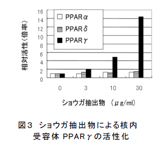 図3 ショウガ抽出物による核内 受容体PPA Rγの活性化