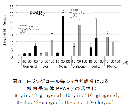 図4 6-ジンゲロール等ショウガ成分による 核内受容体PPARγの活性化