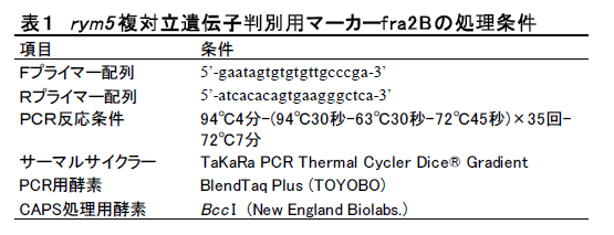 表1 rym5 複対立遺伝子判別用マーカーf ra2 Bの処理条件