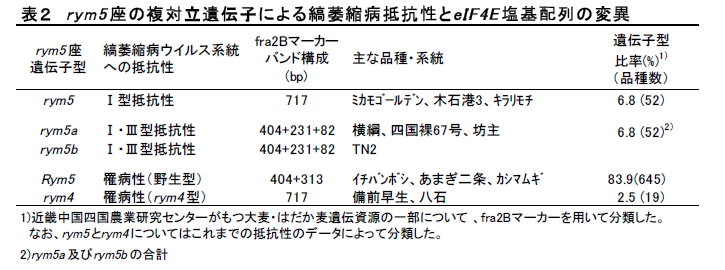 表2 r ym5 座の複対立遺伝子による縞萎縮病抵抗性とeIF4E 塩基配列の変異