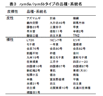 表3 rym5a /rym5b タイプの品種・系統名
