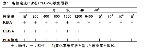 表1 各検定法によるTYLCVの検出限界