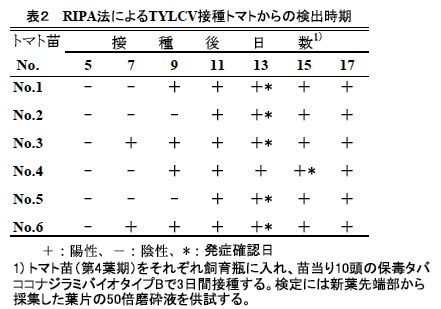 表2 RIPA法によるTYLCV接種トマトからの検出時期