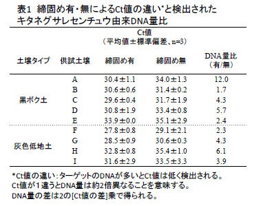表1 締固め有・無によるCt値の違い*と検出された キタネグサレセンチュウ由来DNA量比