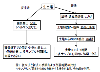 図1 従来法と新法の手順および所要時間の比較 *:サンプリング翌日から線虫分離をする場合がある。その1晩を利用。