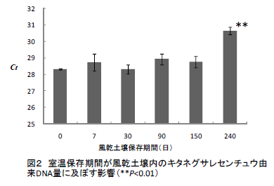 図2 室温保存期間が風乾土壌内のキタネグサレセンチュウ由 来DNA量に及ぼす影響(**P<0.01)