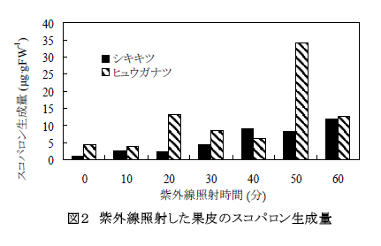 図2 紫外線照射した果皮のスコパロン生成量