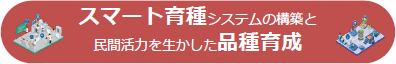 スマート育種システムの構築と民間活力生かした品種育成