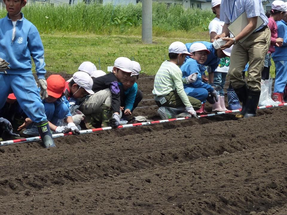 みんなで播く